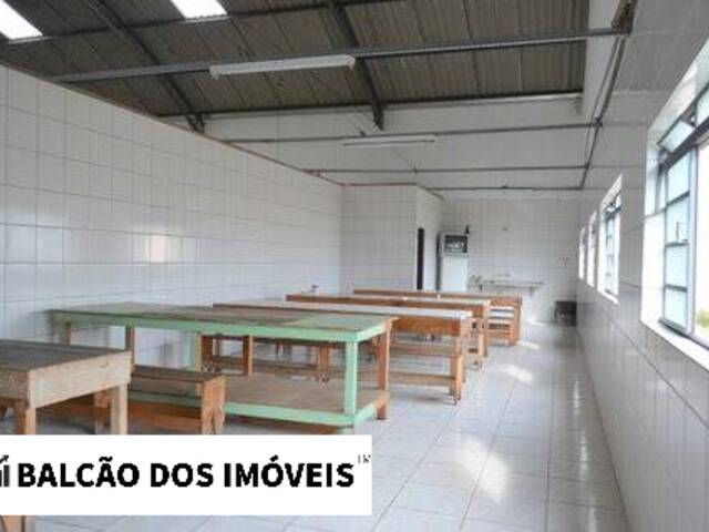  para  em  - 4